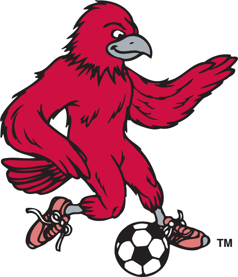 St. Joseph's Hawks 1995-2002 Secondary Logo iron on transfers for T-shirts